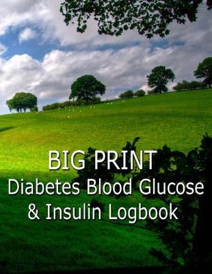 Book cover for Big Print Diabetes Blood Sugar and Insulin Log