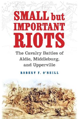 Cover of Small but Important Riots