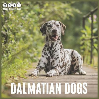 Book cover for Dalmatian