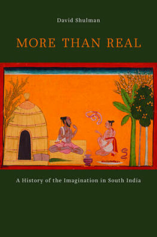 Cover of More than Real