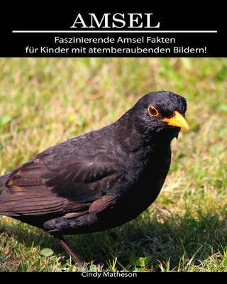 Book cover for Amsel