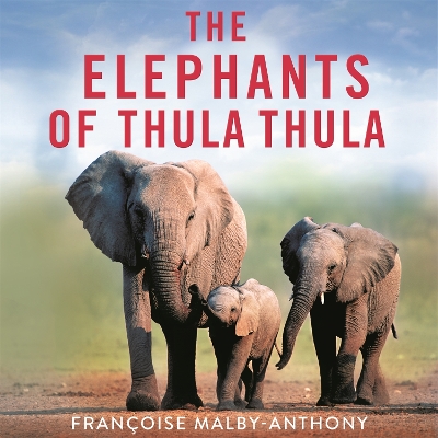 Book cover for The Elephants of Thula Thula