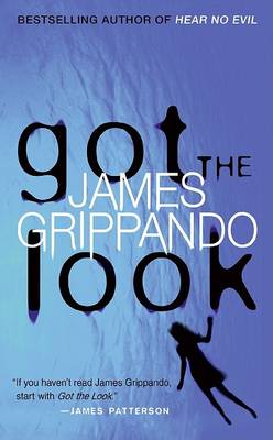 Book cover for Got the Look