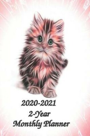 Cover of 2020-2021 2-Year Monthly Planner 6x9 cat