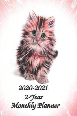 Book cover for 2020-2021 2-Year Monthly Planner 6x9 cat