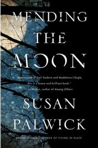 Cover of Mending the Moon