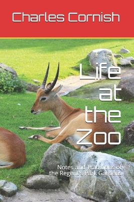 Book cover for Life at the Zoo