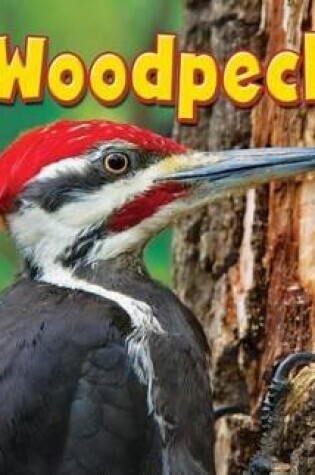 Cover of Woodpecker