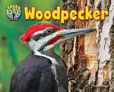 Cover of Woodpecker