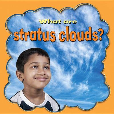 Cover of What Are Stratus Clouds?