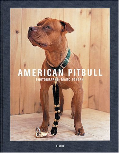 Book cover for American Pit Bull
