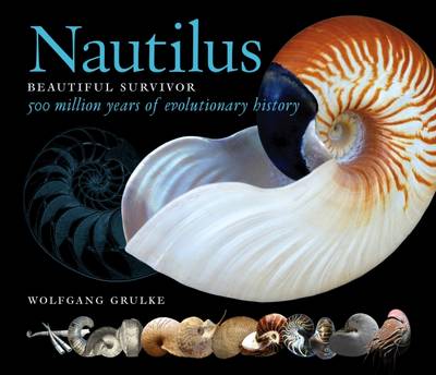 Cover of Nautilus: Beautiful Survivor. 500 Million Years of Evolutionary History