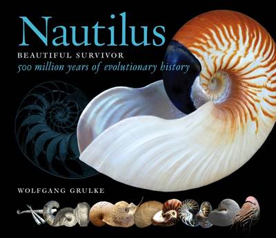 Book cover for Nautilus: Beautiful Survivor. 500 Million Years of Evolutionary History