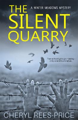 Book cover for The Silent Quarry