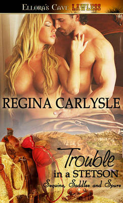 Book cover for Trouble in a Stetson