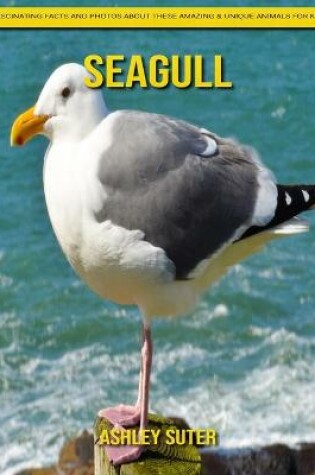 Cover of Seagull