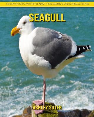 Book cover for Seagull