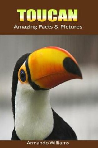 Cover of Toucan