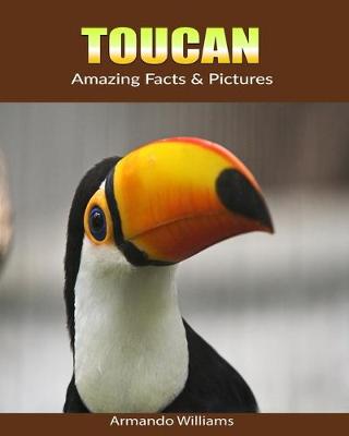 Book cover for Toucan