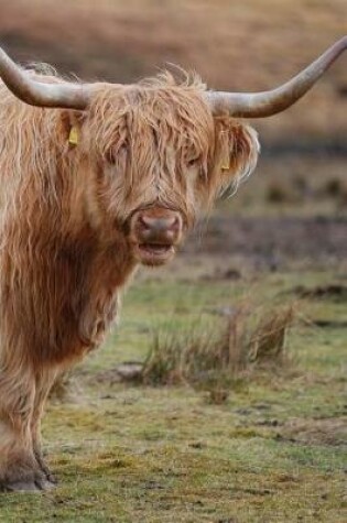 Cover of Highland Cows Notebook