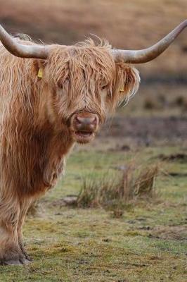 Book cover for Highland Cows Notebook