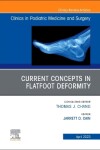 Book cover for Current Concepts in Flatfoot Deformity, an Issue of Clinics in Podiatric Medicine and Surgery, E-Book