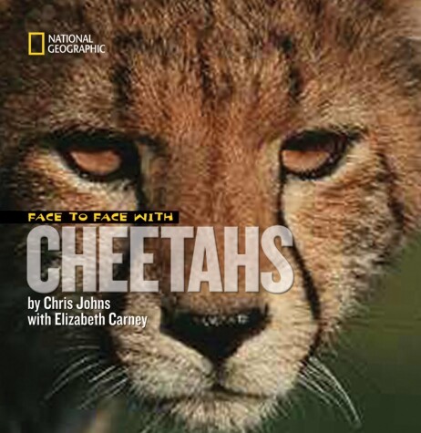 Book cover for Face to Face with Cheetahs