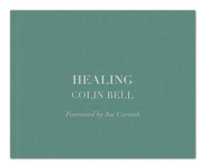 Book cover for Healing