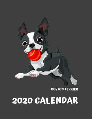Book cover for 2020 Boston Terrier Calendar