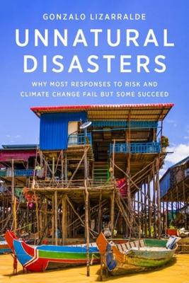 Book cover for Unnatural Disasters