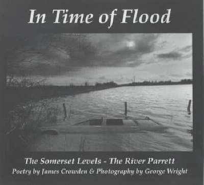 Book cover for In Time of Flood