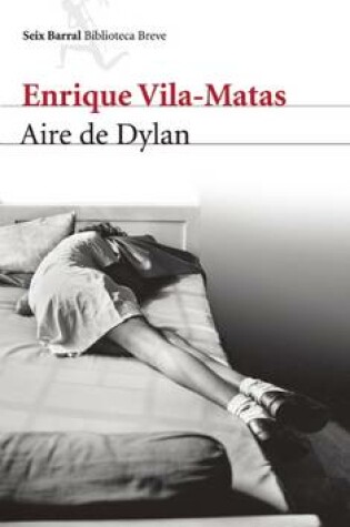 Cover of Aire de Dylan