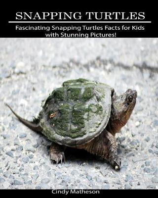 Book cover for Snapping Turtles