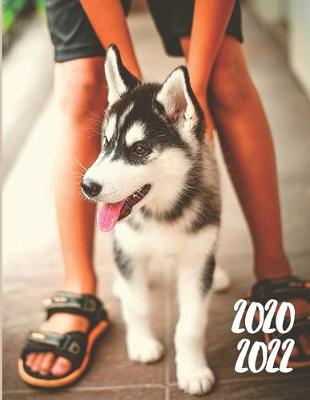 Book cover for 2020-2022 Three 3 Year Planner Husky Dog Monthly Calendar Gratitude Agenda Schedule Organizer