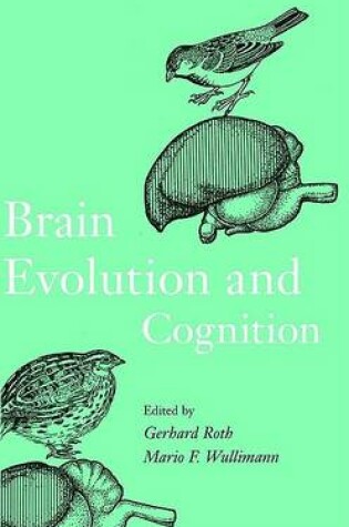 Cover of Brain Evolution and Cognition