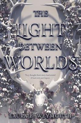 Book cover for The Light Between Worlds