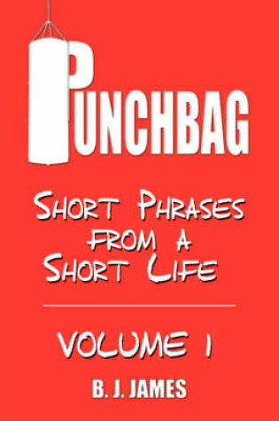 Cover of Punchbag