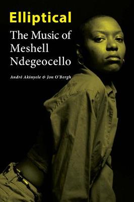 Book cover for Elliptical: The Music of Meshell Ndegeocello