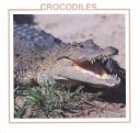 Book cover for Crocodiles