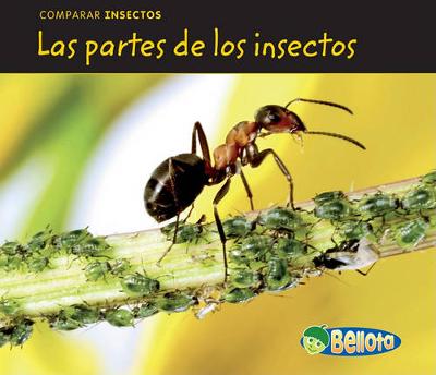 Book cover for Las Partes de Los Insectos