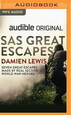 Book cover for SAS Great Escapes