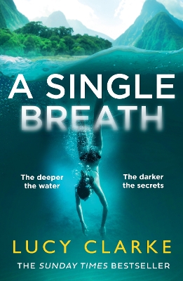 Book cover for A Single Breath