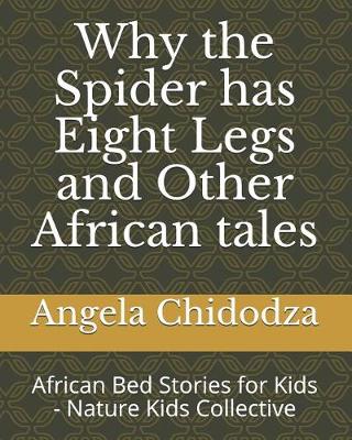Book cover for Why the Spider has Eight Legs and Other African tales