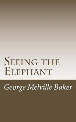 Book cover for Seeing the Elephant