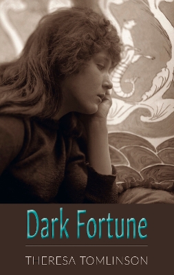 Book cover for Dark Fortune
