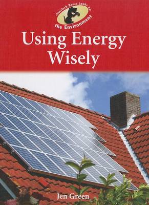 Book cover for Using Energy Wisely