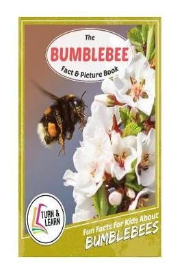 Book cover for The Bumblebee Fact and Picture Book