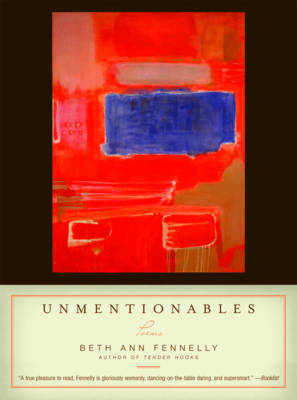 Book cover for Unmentionables