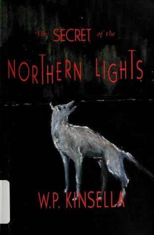 Book cover for The Secret of the Northern Lights