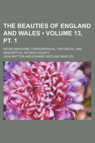 Cover of The Beauties of England and Wales (Volume 13, PT. 1); Or Delineations, Topographical, Historical, and Descriptive, of Each County